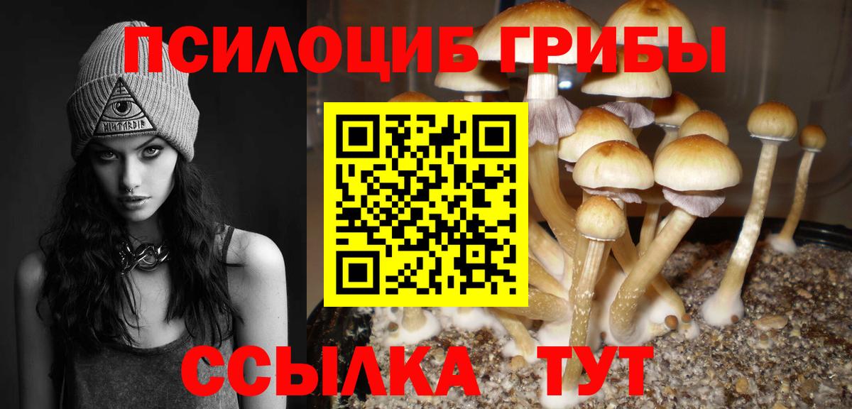 Галлюциногенные грибы Psilocybe  Галлюциногенные грибы Magic Shrooms  Рузаевка  Вход с VPN 