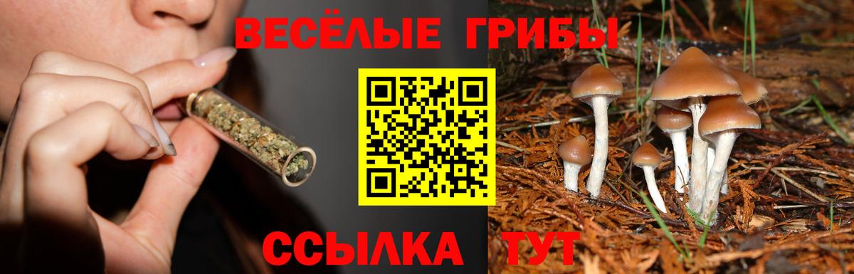 Псилоцибиновые грибы ЛСД Рузаевка